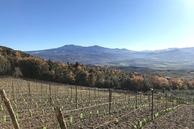 Discover Brunello Wines with DiWine Experience - Frequently Asked Questions