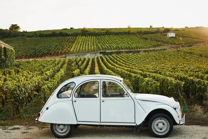 Discover Burgundy - Key Points