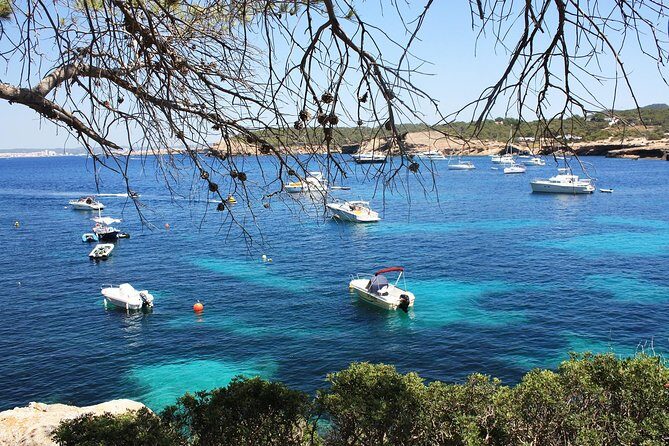 Discover Cala Bassa and Cala Comte on board a catamaran - The Sum Up