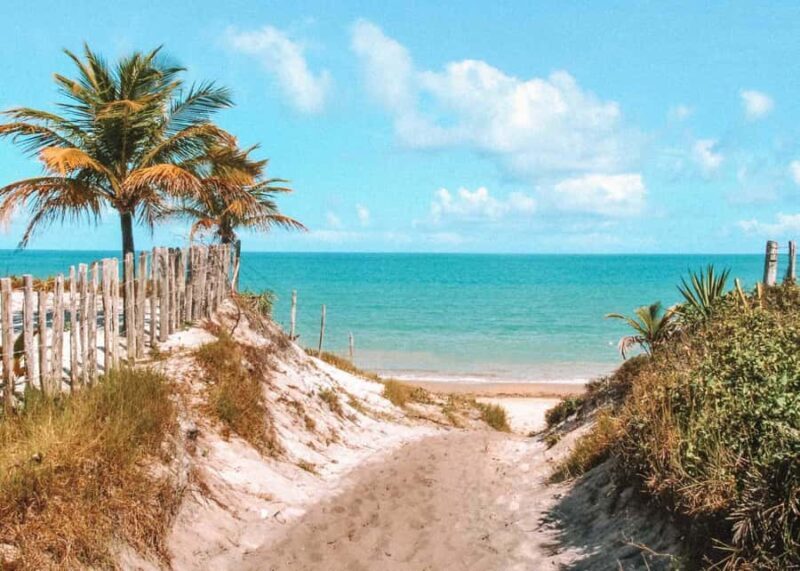 Discover Caraívas Beaches: A Guided Tour in Porto Seguro - Who Should Consider This Tour?