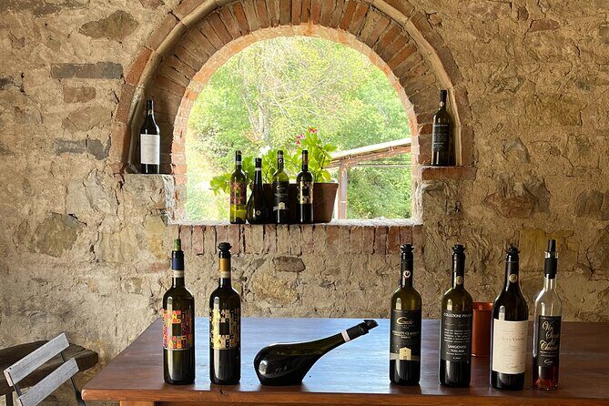 Discover Chianti Classico Wines DiWine Experience - Key Points