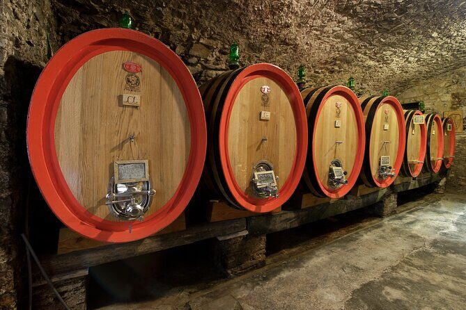 Discover Chianti Classico Wines DiWine Experience - Who Will Love This Experience?