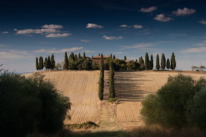 Discover Chianti: Half-Day Tour - Exploring the Details of the Discover Chianti Tour