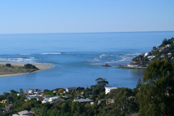 Discover Christchurch Sightseeing Tour - Authentic Voices: What Travelers Say