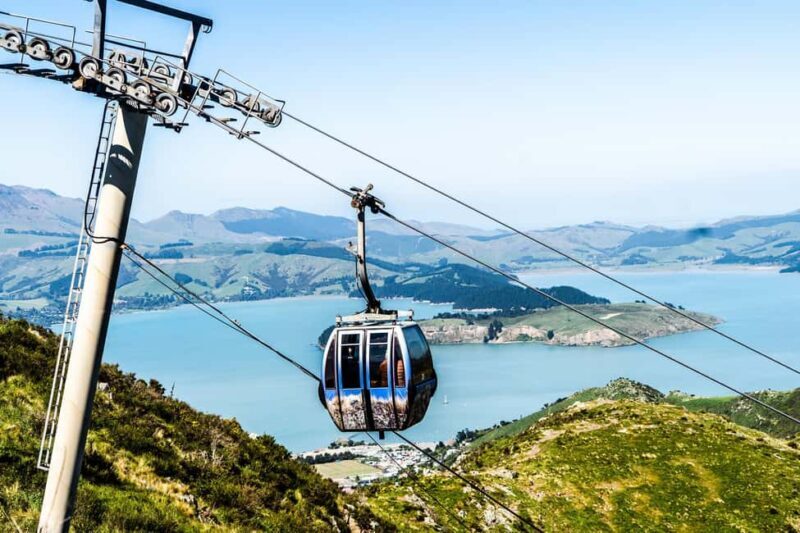 Discover Christchurch Tour with Lunch - What You Can Expect From This Christchurch Adventure