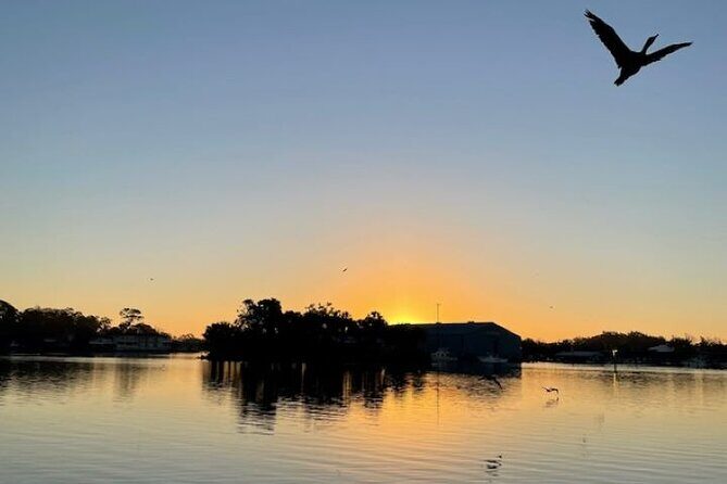 Discover Crystal River's Secrets with Private Boat Tour - Authentic Experiences and Traveler Insights