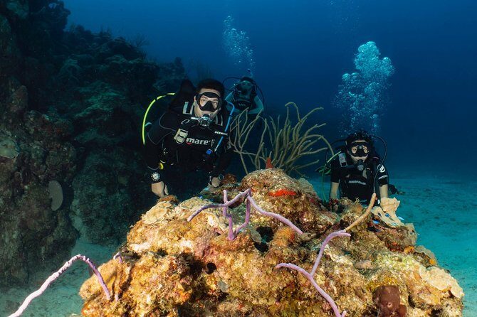 Discover Culebra: 2-Tank Scuba Diving - Discover Culebra: 2-Tank Scuba Diving – A Trusted, Authentic Underwater Adventure