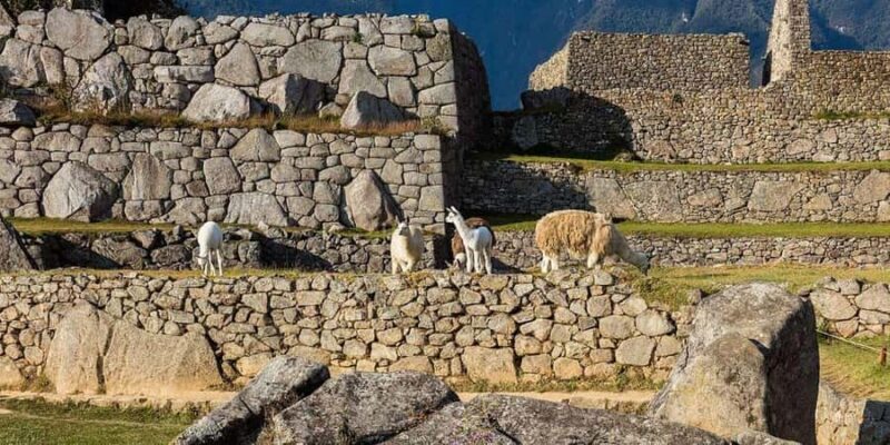 Discover Cusco, Sacred Valley and Machu Picchu in 4 Days - The Sum Up