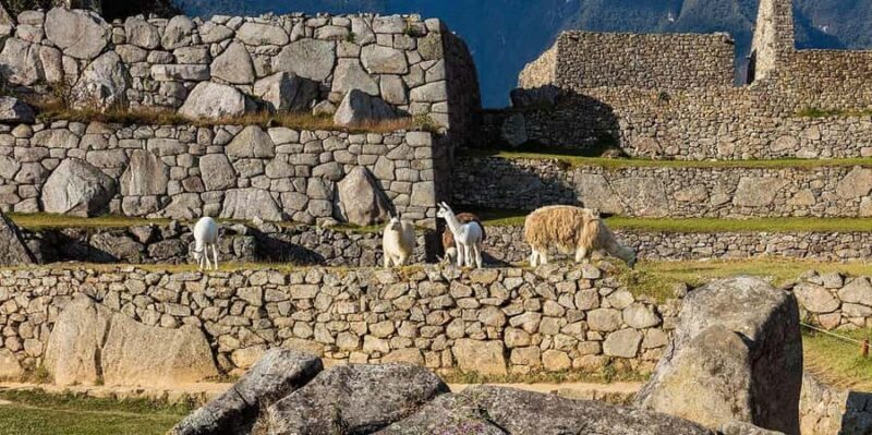 Discover Cusco, Sacred Valley and Machu Picchu in 4 Days - FAQ