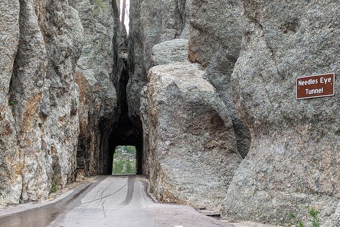 Discover Custer State Park A Self Guided Audio Driving Tour - Who Will Love This Tour?