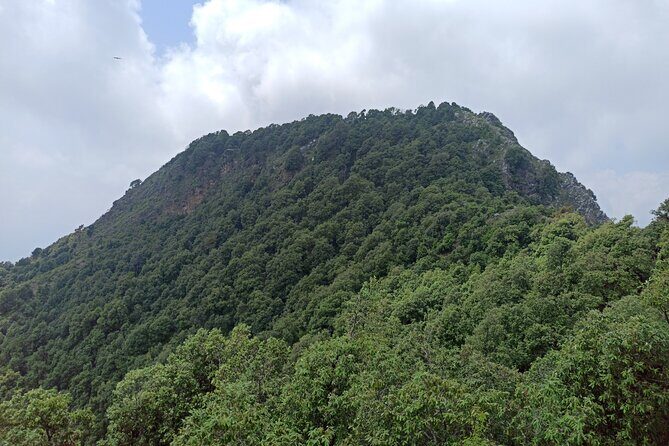 Discover Dehradun: Private City Tour - Exploring the Itinerary in Detail