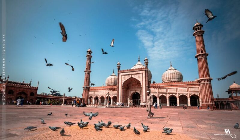Discover Delhi in a Day: Private Tour with Comfort & Style - Why This Tour Works for Travelers