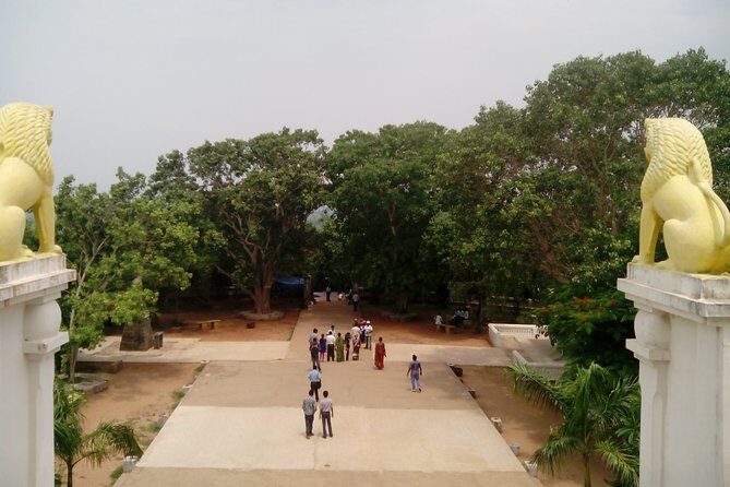 Discover Dhauli Shanti Stupa Bhubaneswar(Guided Halfday Sightseeing Tour by Car) - Key Points