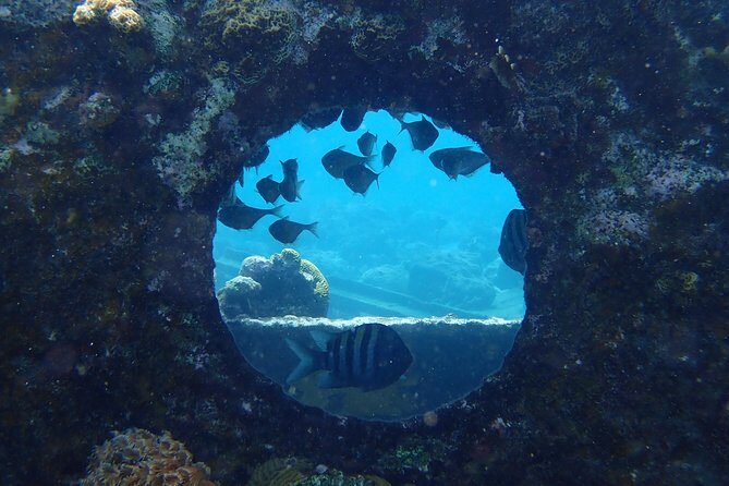 Discover Diving in Curacao - Discover Diving in Curacao: An Authentic Underwater Adventure