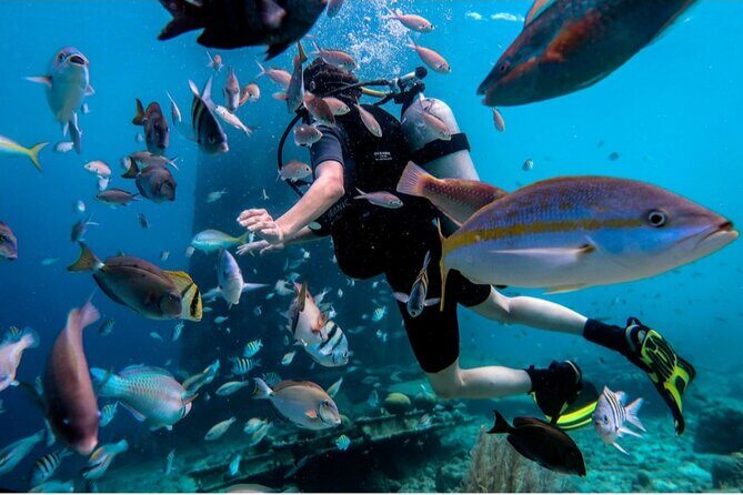 Discover Diving in Curaçao with Transportation Included - What Makes This Tour Stand Out?