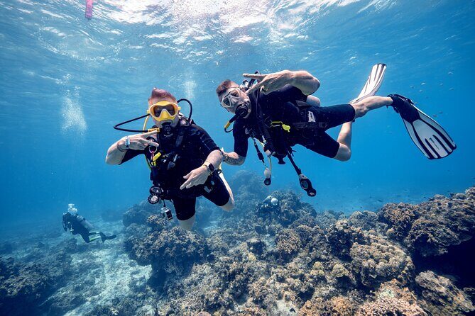 Discover Diving in the Reefs of Cozumel - A Closer Look at the Cozumel Discover Diving Tour