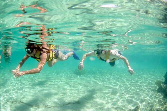 Discover El Cielo and Cozumel Snorkeling Adventure - The Itinerary in Detail: What to Expect