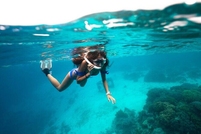 Discover El Cielo and Cozumel Snorkeling Adventure - Who Will Love This Tour?