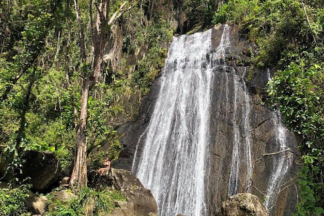 Discover El Yunque National Park: Half-Day Rainforest Tour - A Detailed Look at the El Yunque Half-Day Tour