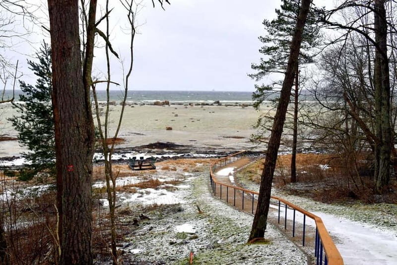 Discover Estonia-car tour from Tallinn to Keila-Joa Waterfal - Final Thoughts: Who Will Love This Tour?