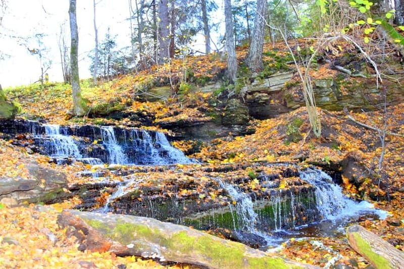 Discover Estoniatour to Lahemaa with waterfalls and nature. - Final Thoughts: Is This Tour Right for You?