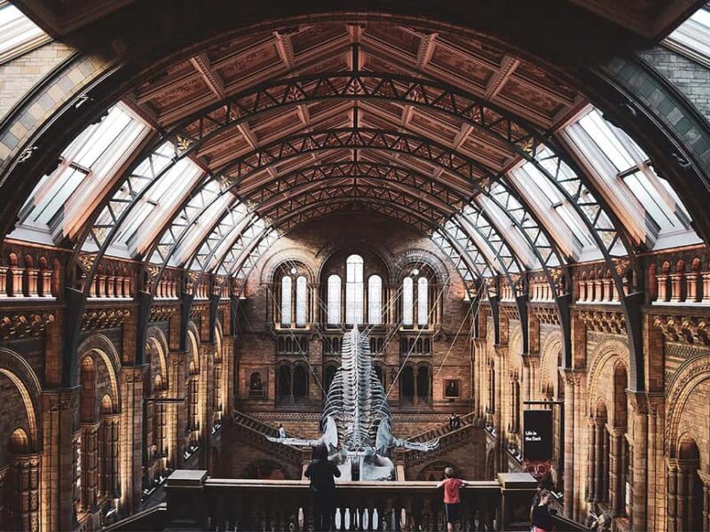 Discover Evolution at the Natural History Museum - Analysis of Value and Practicalities