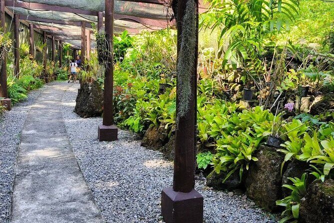 Discover Fiji's Key Attractions in Nadi for a Half-Day Visit - The Sum Up: Who Will Love This Tour?