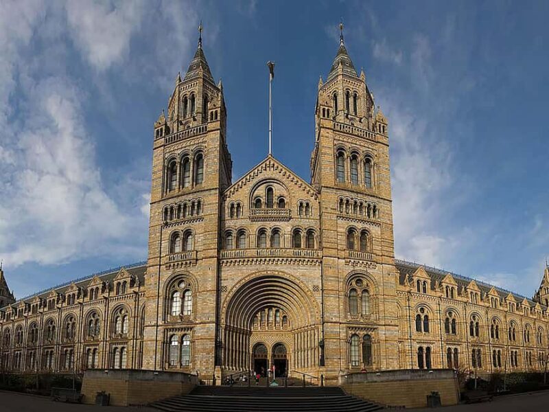 Discover Fossils & Gems at Natural History Museum - Who Should Book This Experience?