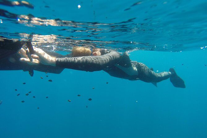 Discover Freediving course - FAQ