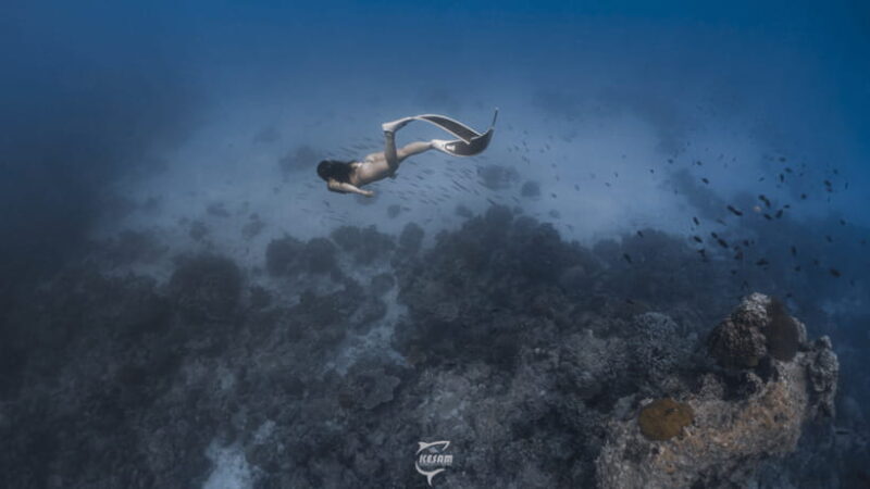 Discover Freediving in Boracay - Marine Life and Scenery