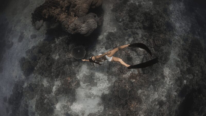 Discover Freediving in Boracay - The Benefits of Guided Instruction