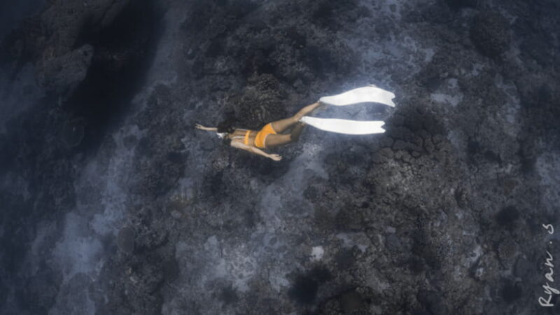 Discover Freediving in Boracay - What’s Included and What to Bring