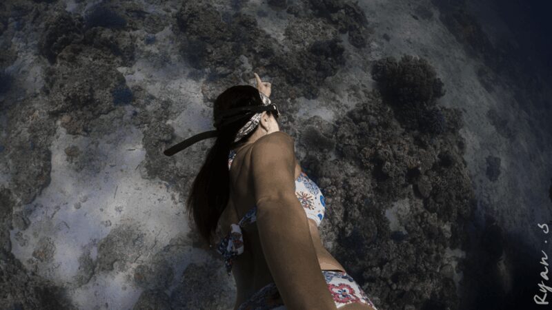 Discover Freediving in Boracay - Potential Drawbacks