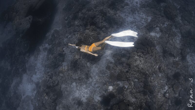 Discover Freediving in Boracay - Authentic Experiences and Real Feedback