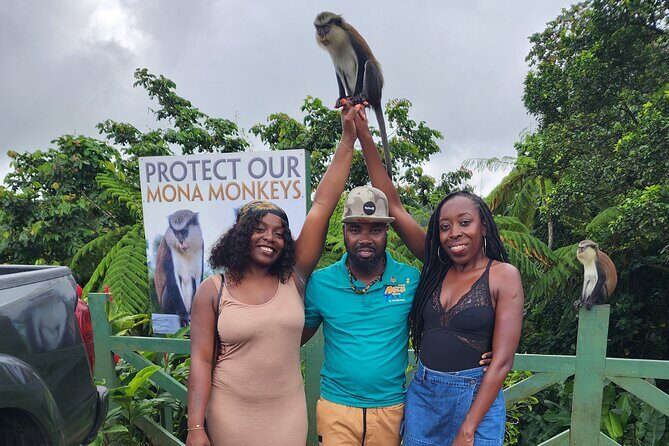 Discover Grenada Island Charm with Guided Local Adventures - An In-Depth Look at the Grenada Tour Experience