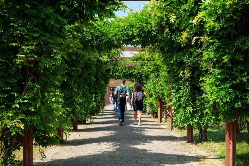 Discover Herculaneum: Guided tour in English of the ancient Roman city - What to expect during the tour
