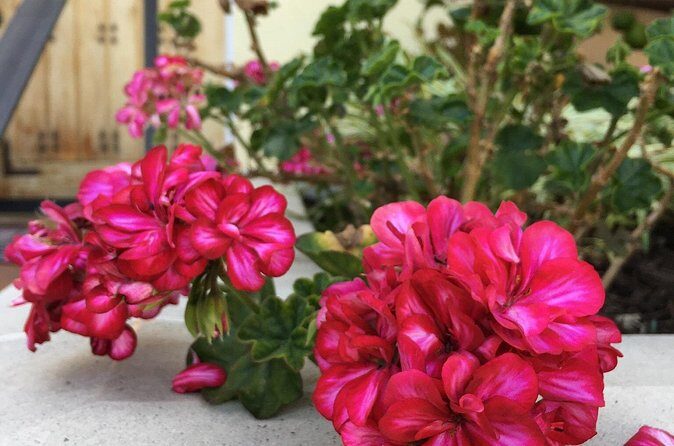 Discover Hidden Stairways & Canyon Paths: Urban Adventure - Final Thoughts: Is It Worth It?