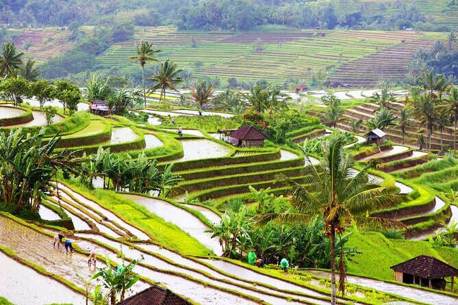 Discover Hidden Waterfall, Unesco Rice Terraces and Mountain Temple - The Sum Up: Who Should Book This Tour?