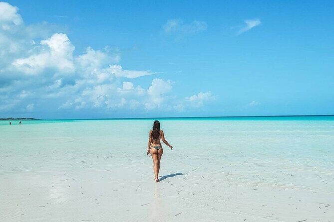 Discover Holbox Tour - Punta Mosquito from Playa del Carmen - Final Thoughts