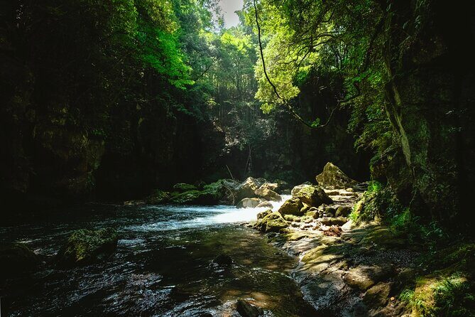Discover Inner Peace at Fukoji Temple: Meditation Experience - Final Thoughts