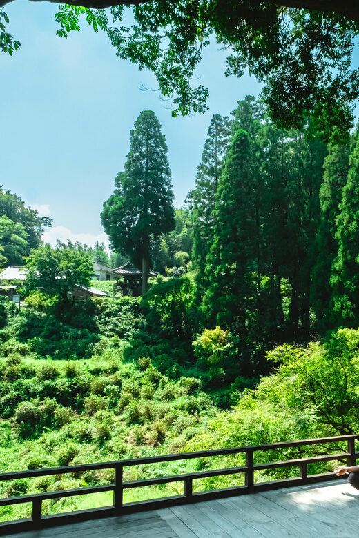 Discover Inner Peace at Fukoji Temple: Meditation Experience - Key Points
