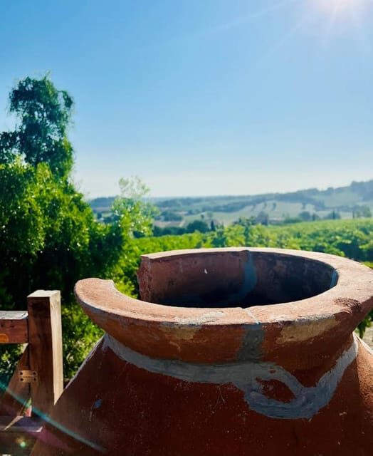 Discover Italian Wines: Exclusive Tasting at Tenuta La Viola - Discover Italian Wines: Exclusive Tasting at Tenuta La Viola
