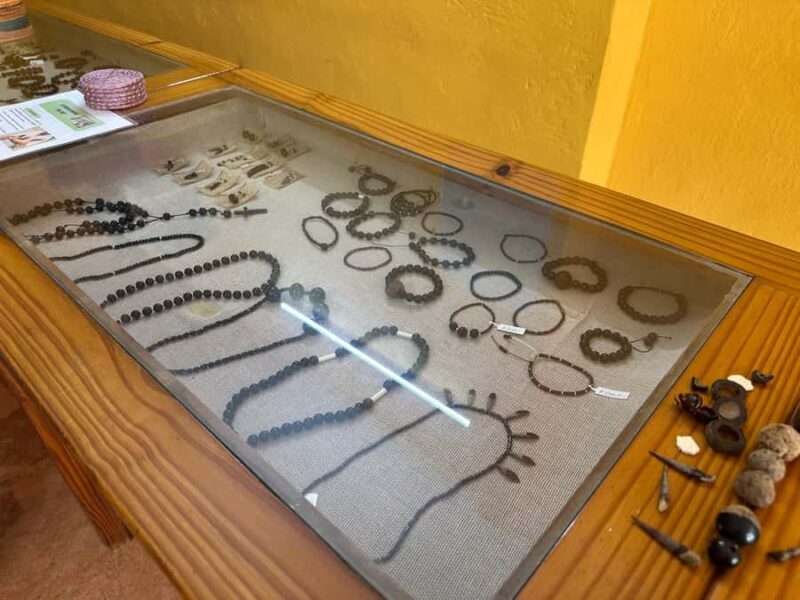 Discover Izamal from the Maya Teya Train: tradition and local artisans - Who Would Love This Tour?