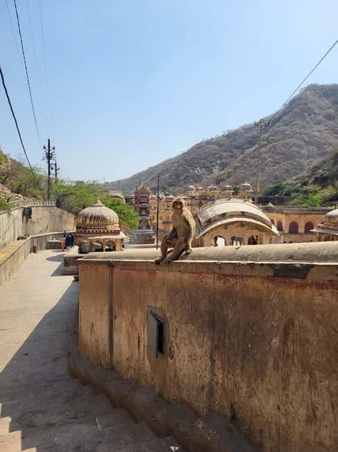 Discover Jaipur - An In-Depth Look at the Jaipur Tour Experience