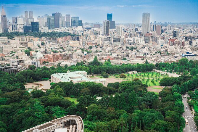 Discover Japanese Politics Over a Coffee in Tokyo - Key Points