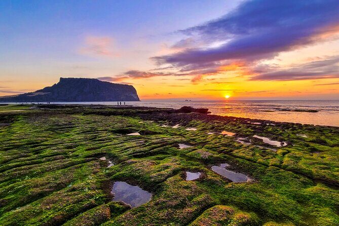 Discover Jeju in 3days: A Curated All-Inclusive Experience - What This Tour Means for You