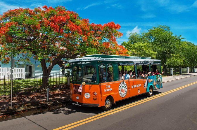 Discover Key West in a Day : Sun, Sea and Paradise - Final Thoughts: Who Will Love This Tour?