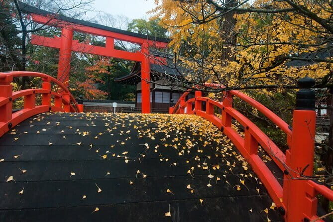 Discover Kyoto by Bike: Authentic Half Day Tour - Authenticity and Comfort