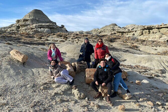 Discover La Leona Petrified Forest: Guided Hiking Tour - Why This Tour Stands Out