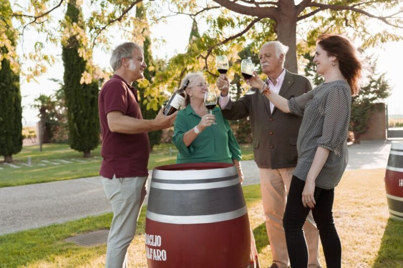 Discover La Rioja: Guided Winery Tour & Wine Tasting - Discover La Rioja: Guided Winery Tour & Wine Tasting